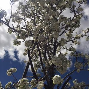 Meet your Posher, Martha